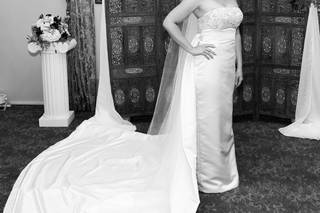 Bridal Silhouette - 17