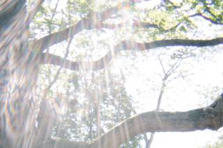 Cynthia Mae Photograph - 12