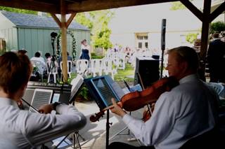 Landolfi String Quartet and Ensemble - 11