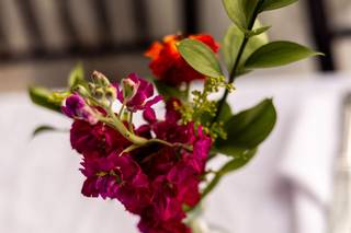 Quinn Florist - 6
