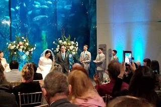 A Wedding Store & Special Events - 19