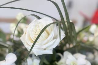 CREATIVE FLORALS INC - 23