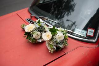 Paula B Photography - 6