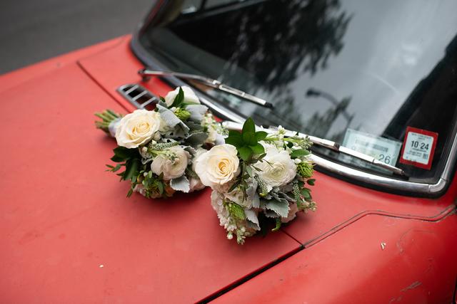 Paula B Photography - 1