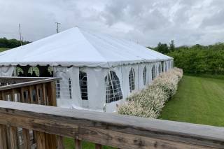 Once Finger Lakes - 5