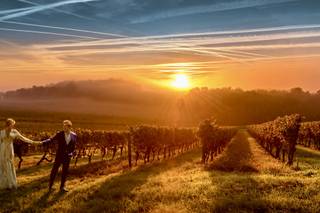 Intimate Weddings Napa Valley - 12