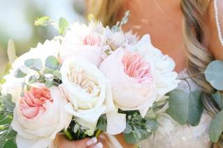 Masters Medspa Beauty - 1