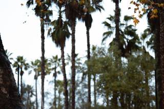 Jeff Armstrong Photography - 5