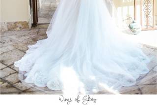Wings Of Glory Photography - 26