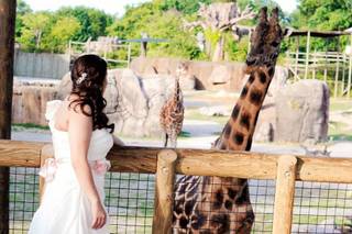Zoo Knoxville - 69