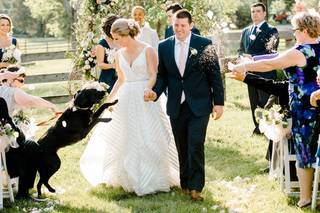 Caroline Lima Photography - 39