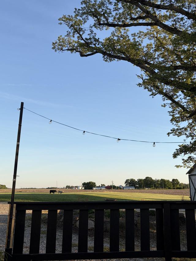 The Farm On 125 - 3
