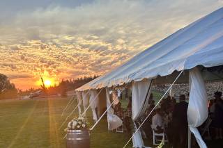 West Hills Vineyards - 4