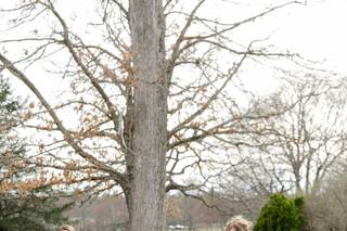 Bridal Beauty by Madelyn Elizabeth - 7