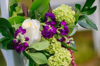 Wild Fleurette - 46