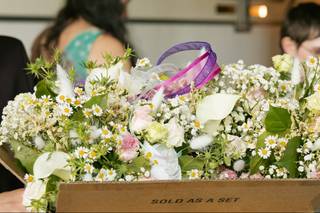 Beyond The Rose Garden - 6