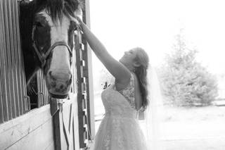 Nicki Ahrens Photography - 11