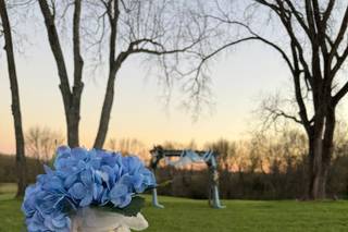 Avonley Homestead - 5