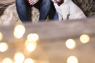 Carrie Vines Photography - 7