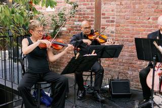 Tribute String Quartet - 6