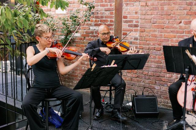 Tribute String Quartet - 3