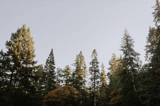 Savanna Marlee Photography - 8