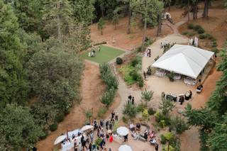 Lake and Wood - 8