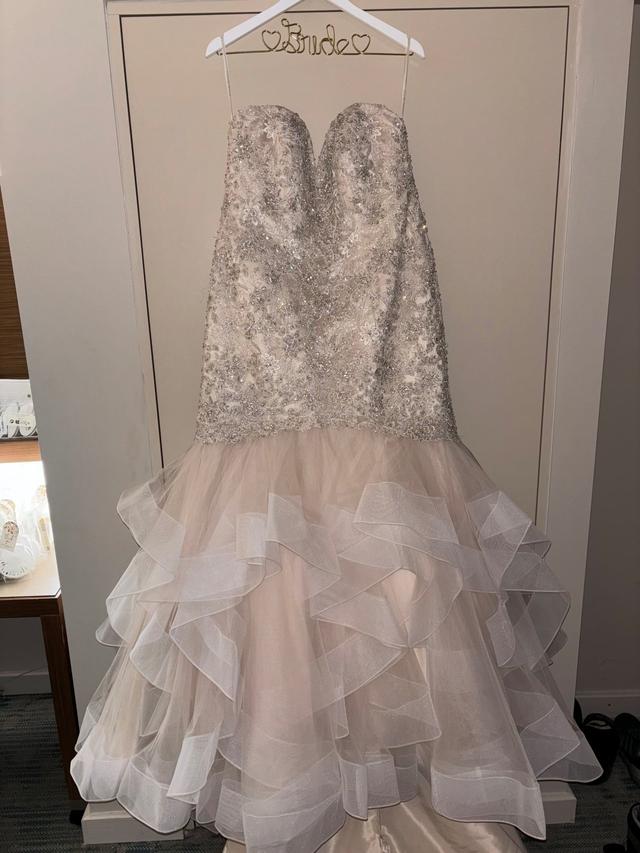 Amore Bridal Couture - 1