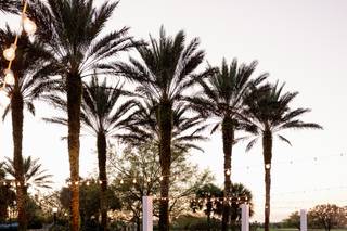 Stephanie Nicole Events - 12
