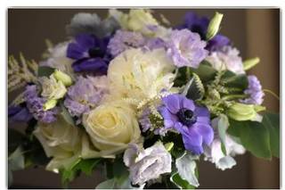 Polly's Petals & Particulars - 22