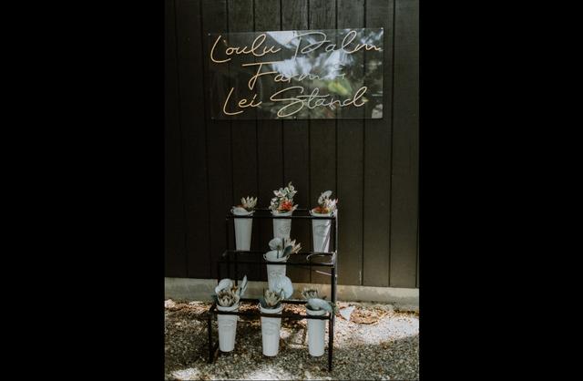 Loulu Palm Weddings - 3