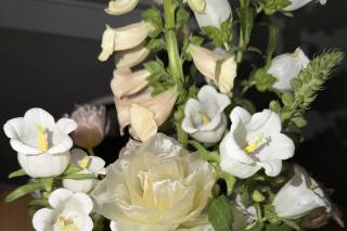 Viavi Flower Farm - 9