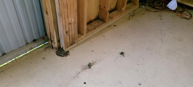 Claddagh House - 4