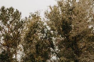 The White Barn Wedding - 119