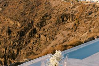 Dana Arnold Photography - 9