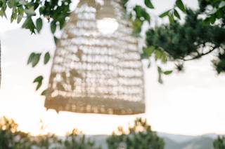 Alex Medvick Photography - 6
