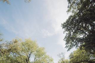 ein photography and design - 41