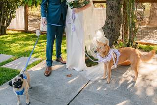 Pamela Tatz Photography - 18