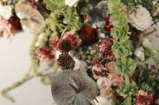 Kirnos Photography - 13