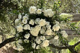 Bloom Bureau - 15