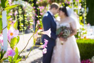 Marco Photography & Video - 12