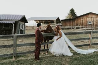 The Farm - 52