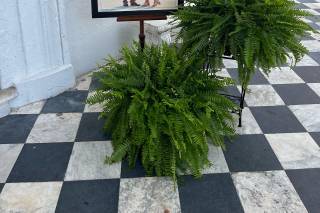 Goldbug Events - 17