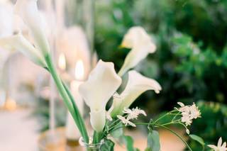 Brave Floral - 22