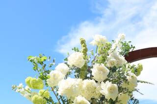 Bloom Bureau - 9