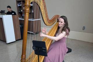 Modern Fairytale Wedding Harpist - 6