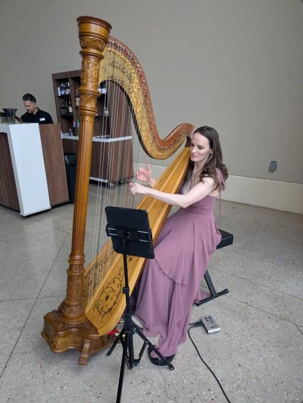 Modern Fairytale Wedding Harpist - 2