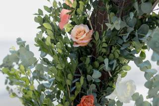 Protea FloraLab. - 16
