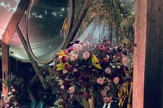 Bluebell Events - 7