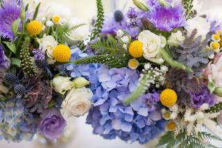 Botaniq Blooms - 46